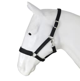 INF Grime for hest Nylon Str L Svart