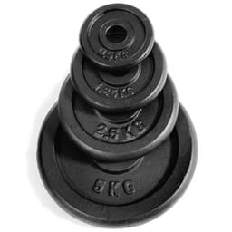 Abilica vektskiver 25 mm 15 kg