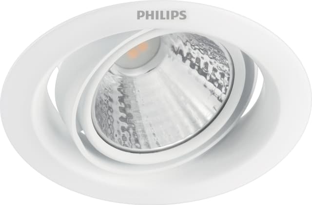 Philips Pomeron Ceiling spotlys 3W