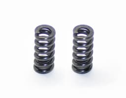 Ser-500159 slipper spring (2) srx2