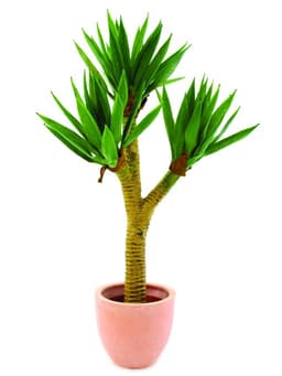 Europalms yucca palmbush, 105cm