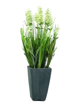 Europalms lavender, creme, in pot, 45cm