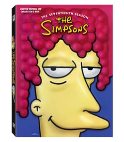 The Simpsons: Sesong 17 - Head version (DVD)