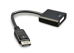Gembird DP til DVI-D, 0,1 m
