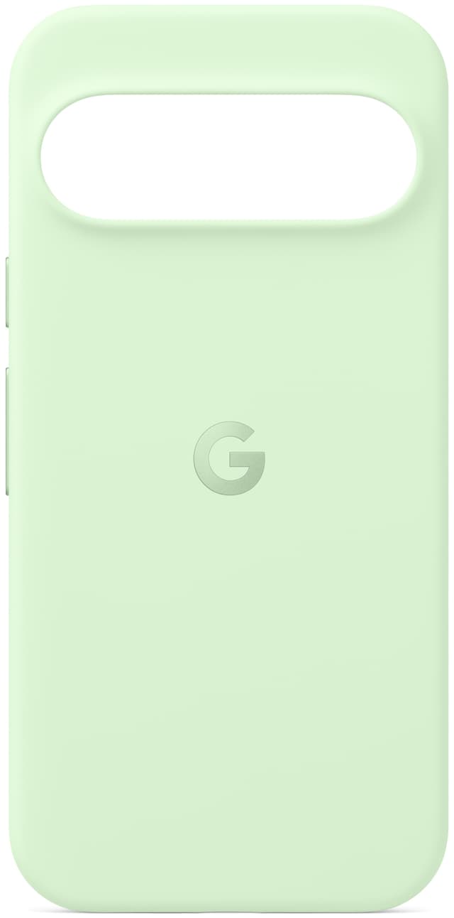 Google Pixel 9/9 Pro deksel (wintergreen)
