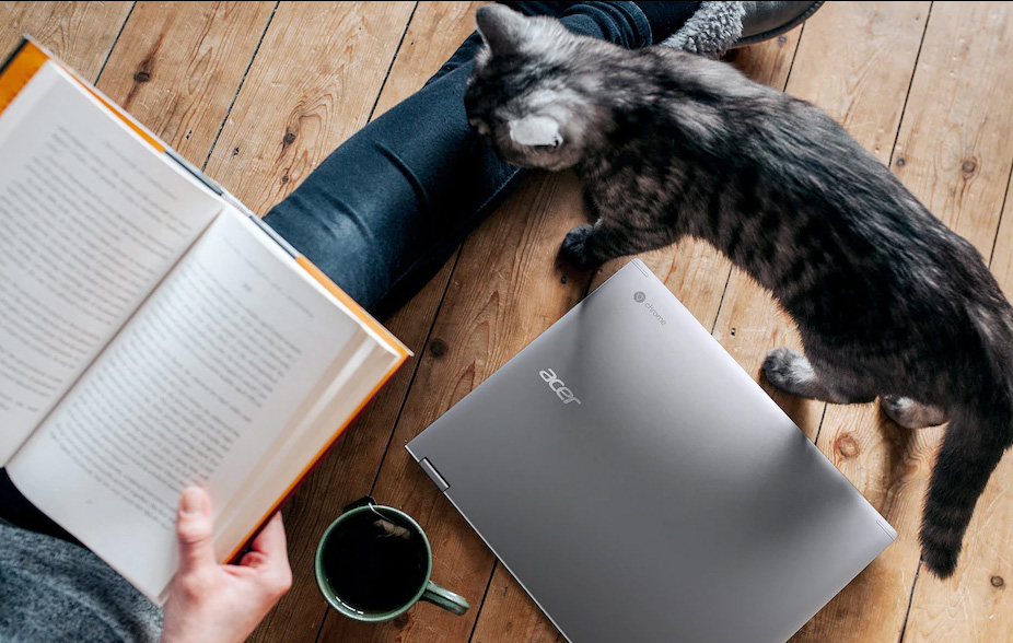 Chrome har sikkert design Kvinde sidder på et trægulv og læser en bog. Acer Chromebook og en killing på hendes højre side.