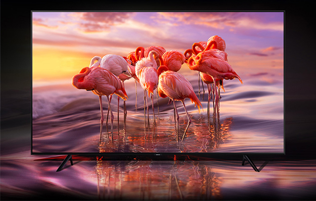 Med Samsungs unike QLED-teknologi skrus fargevolumet opp til 100 %. Flamingoer i fargerike omgivelser