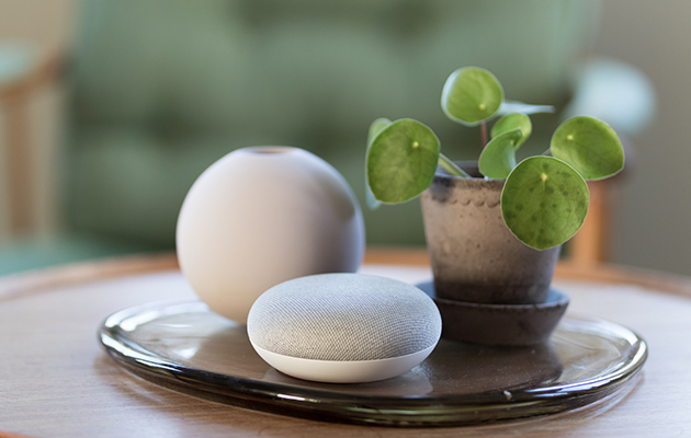 Google Assistant oversetter for deg En Google Home Mini ved siden av en plante