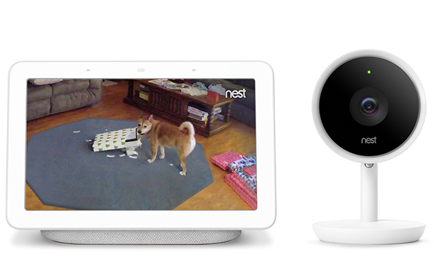 Styr hele smarthjemmet ditt med Google Home Hub Hund som fanges opp av overvåkningskamera og et overvåkningskamera fra Nest