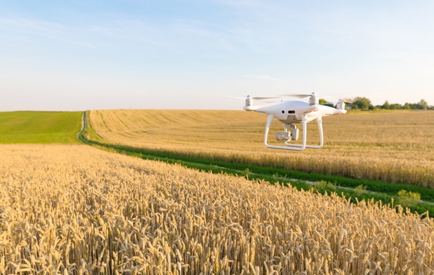 Se verden fra en annen vinkel En drone som flyr over jordet