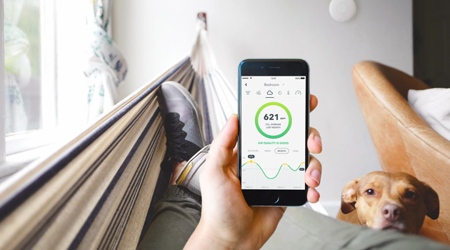 Dette påvirker inneklimaet En mann som sjekker luftkvaliteten på mobilen