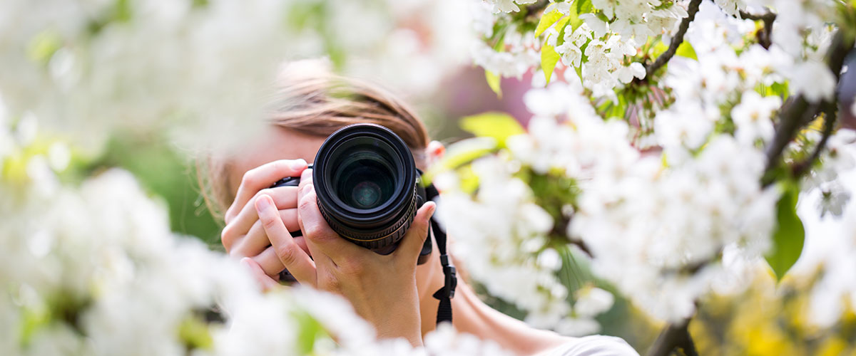Månedens fotodeal En fotograf ses med kameraet foran ansiktet mellom blomstrende epletrær
