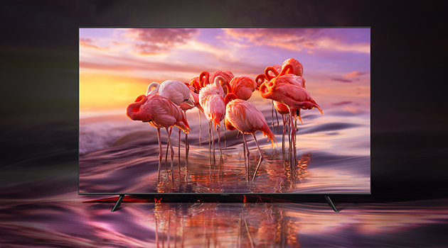 QLED har 100 % fargevolum QLED-TV med flamingoer
