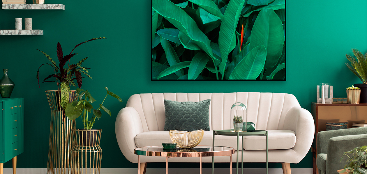 OLED er slanke med pent design Sofa med TV på veggen