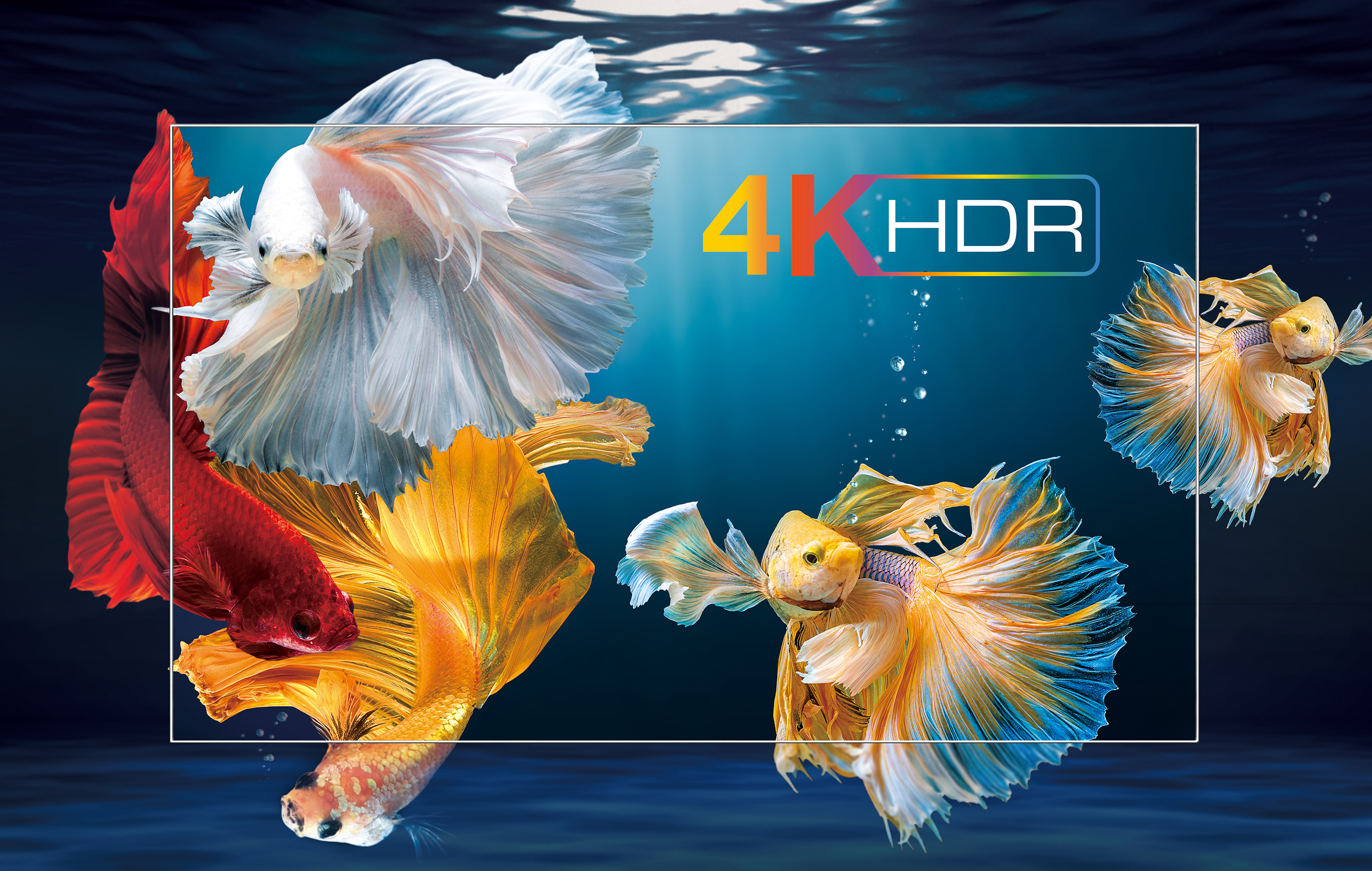 4K HDR: forbedret kontrast, farger og detaljnivå TCL-TV med gullfisk