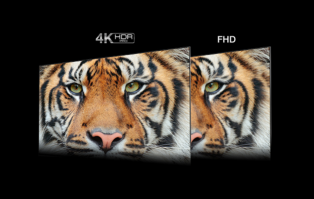 4K HDR PRO: forbedret kontrast, farger og detaljnivå TCL-TV-er med tigre