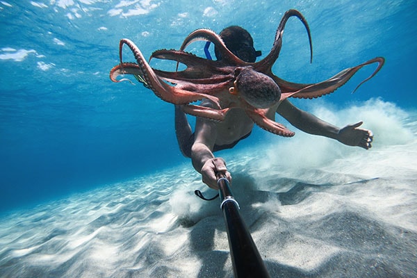 En person svømmer under vann med et GoPro på en selfiestang og har en stor, rød blekksprut foran seg