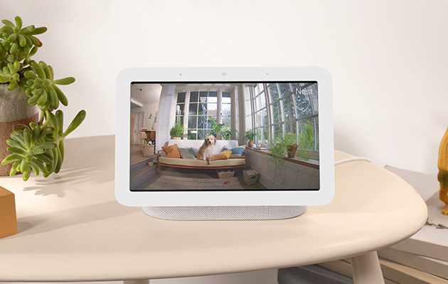 Se YouTube-videoer og mye annet Google Nest Hub viser hund