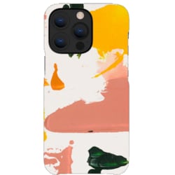 A Good Company iPhone 13 Pro cover (colour splash)