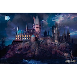 Harry Potter plakat Hogwarts 52235PP34369