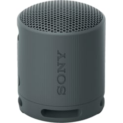 Sony SRS-XB100 bærbar trådløs høyttaler (sort)