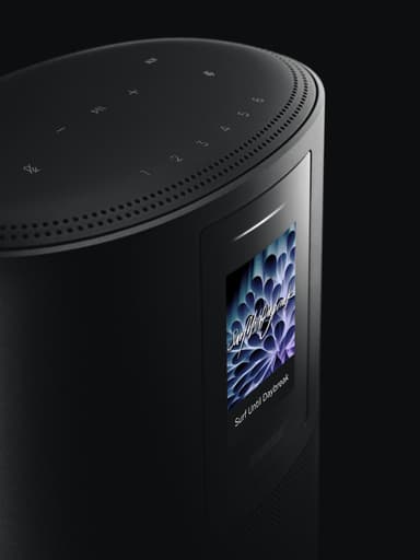 Bose Home Speaker 500 (sort)