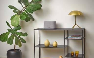 Harman Kardon Citation 300 høyttaler (grå)