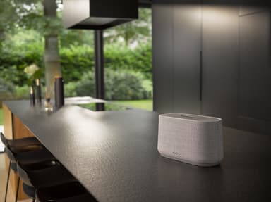 Harman Kardon Citation 300 høyttaler (grå)