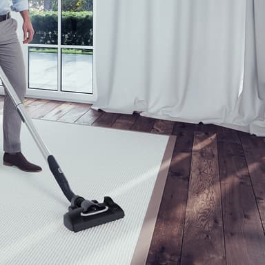 Electrolux UltraOne Green støvsuger EUO9GREEN (sort)
