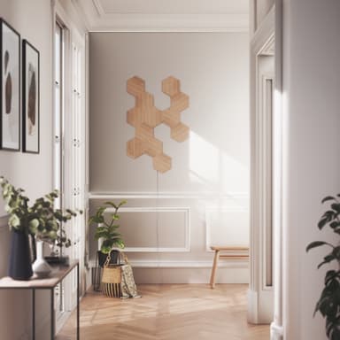 Nanoleaf Elements Hexagons sett NL52-K-3002HB-13PK