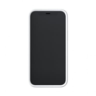 Richmond & Finch iPhone 12 Mini Deksel White Marble