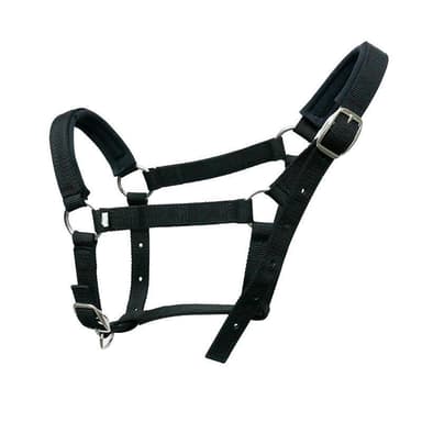 INF Grime for hest Nylon Str L Svart