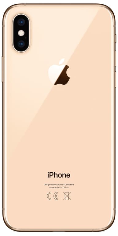 iPhone Xs 64 GB (gull)