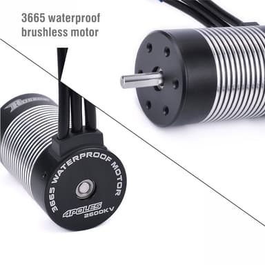 Surpass Hobby 3665 3100KV Sensorless BL WP