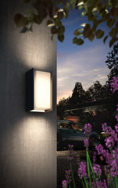 Philips Hue Turaco vegglampe (antrasitt)