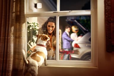 Philips Hue Lucca vegglampe (antrasitt)
