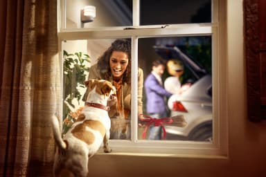 Philips Hue Tuar vegglampe 1x9,5W (inox)