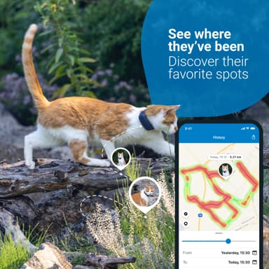Tractive GPS tracker katt CAT LTE kattesporer (blå)