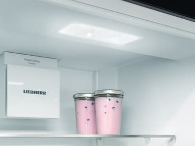 Liebherr fridge/freezer CNsfd 5724-20 001