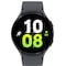 Samsung Galaxy Watch5 44mm LTE (grafitt)