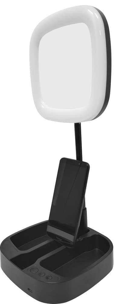 Picture Me Light telefonholder med speil