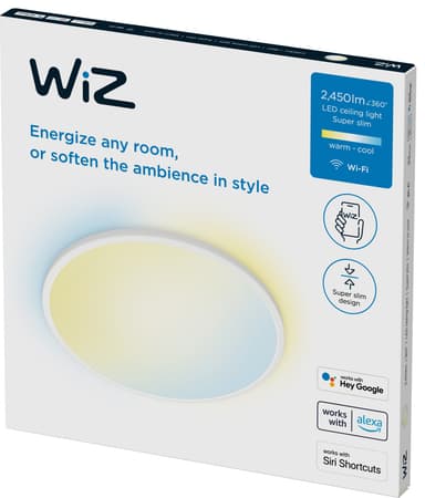 WiZ taklampe 929003226701