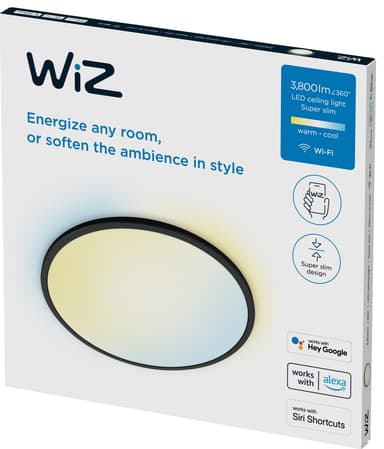 WiZ taklampe 929003227001