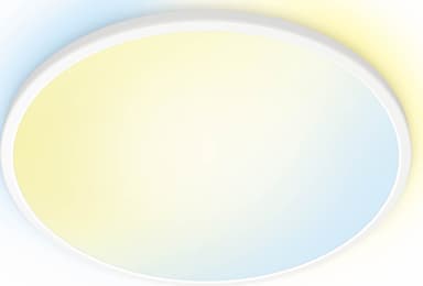 WiZ taklampe 929003226701