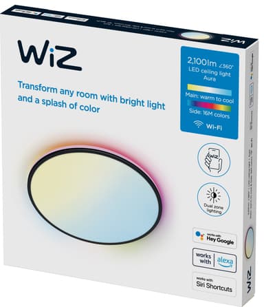 WiZ taklampe 929003209201