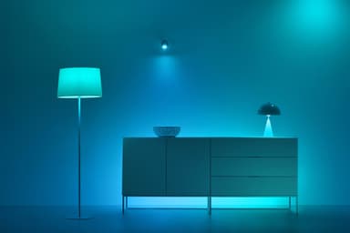 WiZ LED lyspære 929003499801