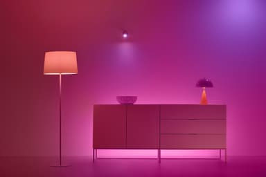 WiZ LED lyspære 929003499801