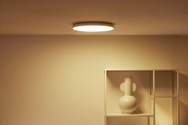 WiZ taklampe 929003209101