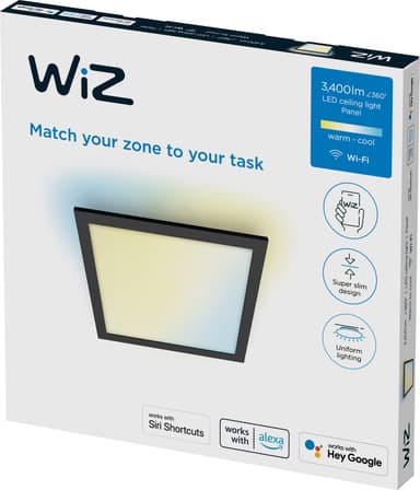 WiZ taklampe 929003241701