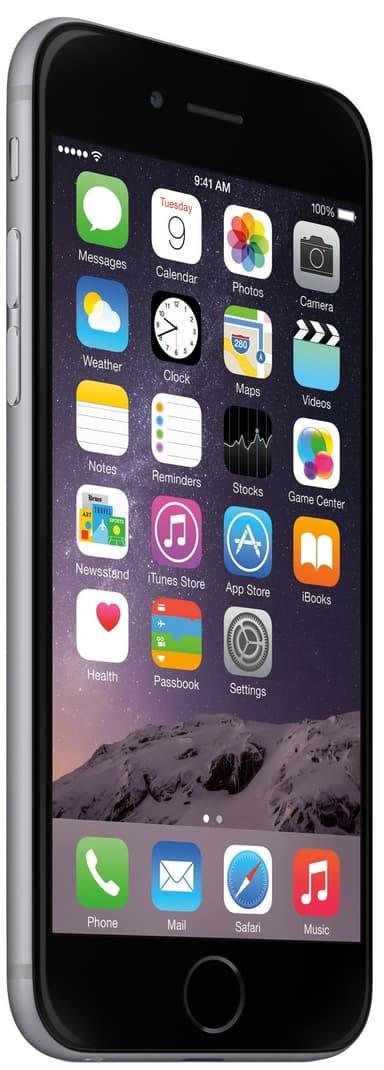 iPhone 6 16 GB (stellar grå)